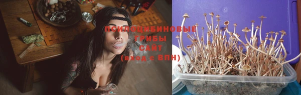 мет Рославль