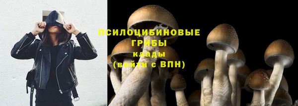 винт Ростов