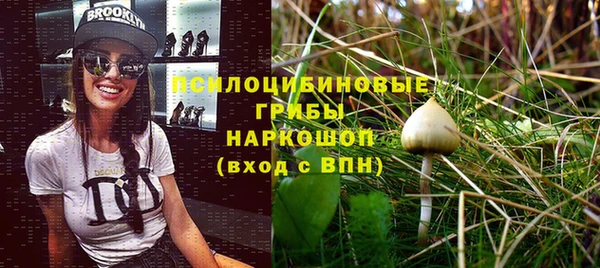 винт Ростов