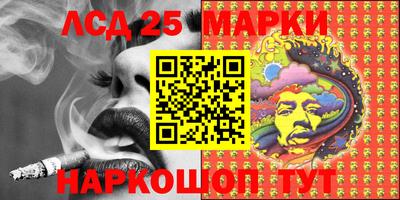 spice Новодвинск