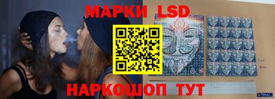 spice Новодвинск