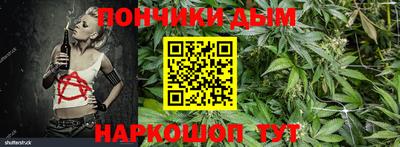 spice Новодвинск