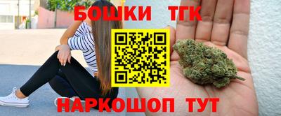 spice Новодвинск