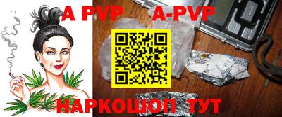 spice Новодвинск