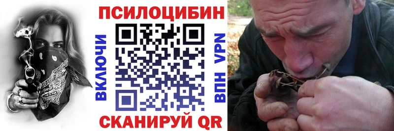 где можно купить   Томск  Галлюциногенные грибы прущие грибы 