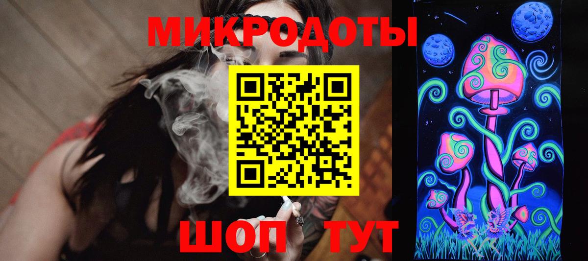 Псилоцибиновые грибы Psilocybine cubensis Томск